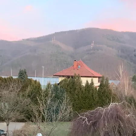 Maria Międzybrodzie Bialskie